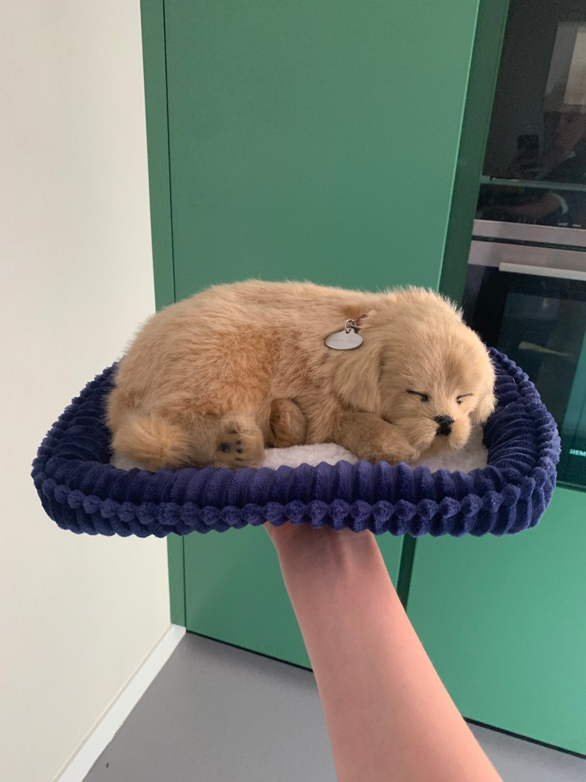 Perfect petzzz Golden retriever puppy met mandje, Ophalen of Verzenden, Zo goed als nieuw, Hond