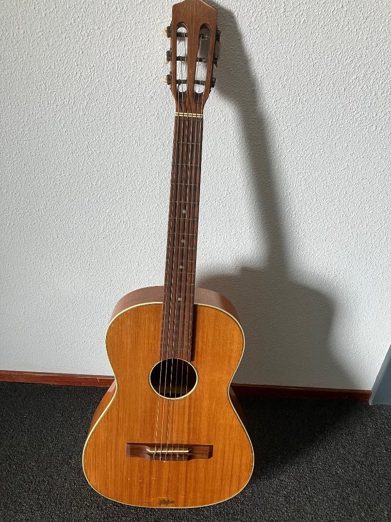 Höfner gitaar, Ophalen of Verzenden, Gebruikt, Overige typen