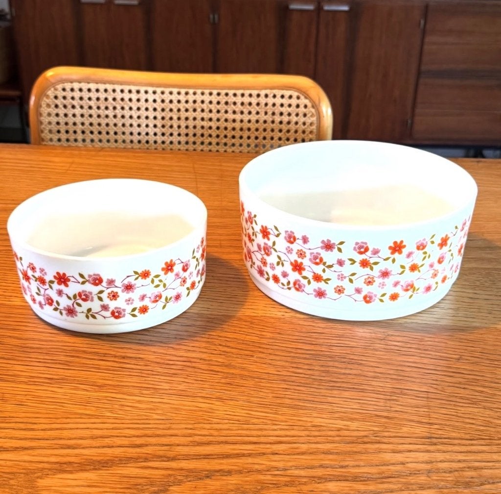 2 kommen arcopal scania, Vintage, Ophalen of Verzenden, Kom(men), Glas