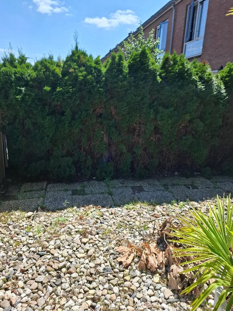 tuinman gezocht Amersfoort, Tuin en Terras, Ophalen, Zo goed als nieuw