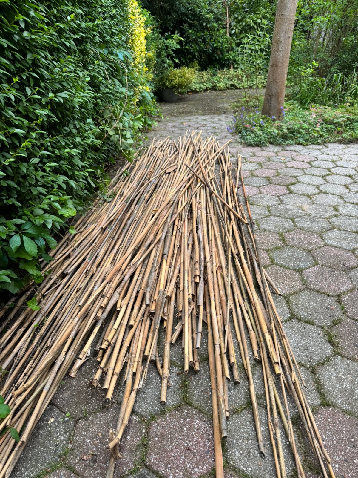 Bamboe stokken, Ophalen