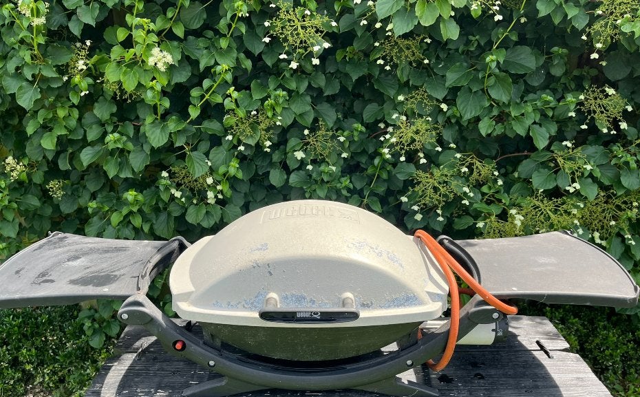 Weber Q 200 gas barbecue XL, Ophalen, Gebruikt, Weber