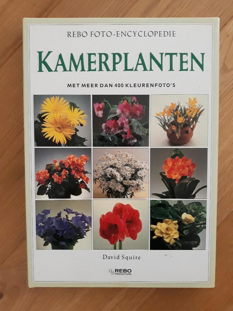 Rebo foto-encyclopedie KAMERPLANTEN, Ophalen of Verzenden, Zo goed als nieuw, Interieur en Design