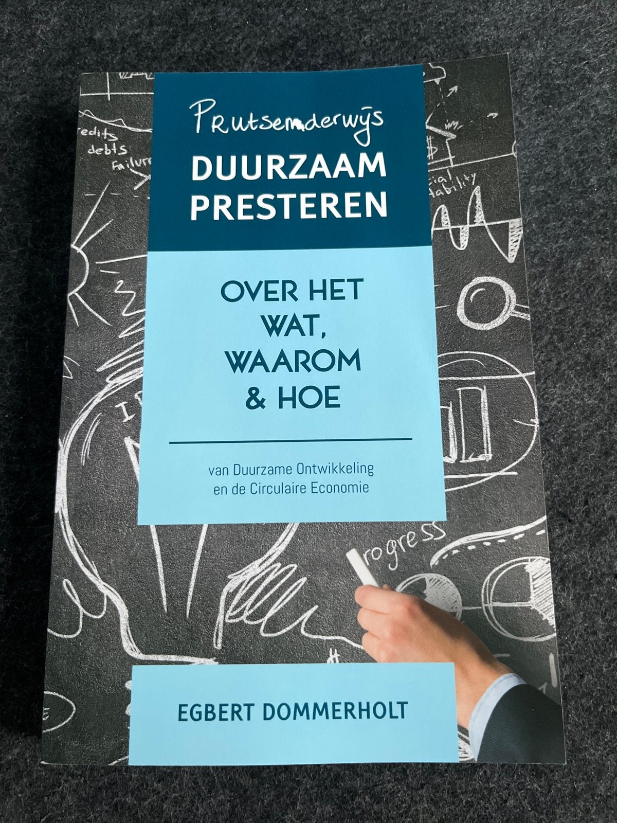 Prutsenderwijs Duurzaam Presteren - Egbert Dommerholt, Ophalen of Verzenden, Gamma, Zo goed als nieuw, HBO