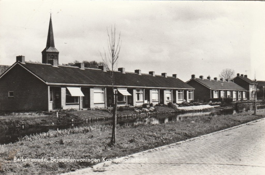 berkenwoude, Ophalen of Verzenden, 1940 tot 1960, Gelopen, Noord-Holland