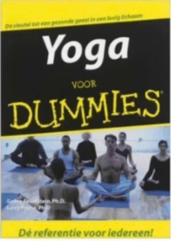 Yoga Voor Dummies, Ophalen of Verzenden, Zo goed als nieuw, Overige onderwerpen, Achtergrond en Informatie