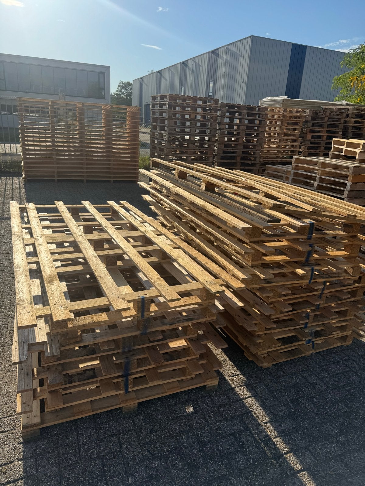 222 Pallets 2400x1200mm - 240x120cm Partij houten pallets, Ophalen, Gebruikt, 200 tot 250 cm, 50 mm of meer