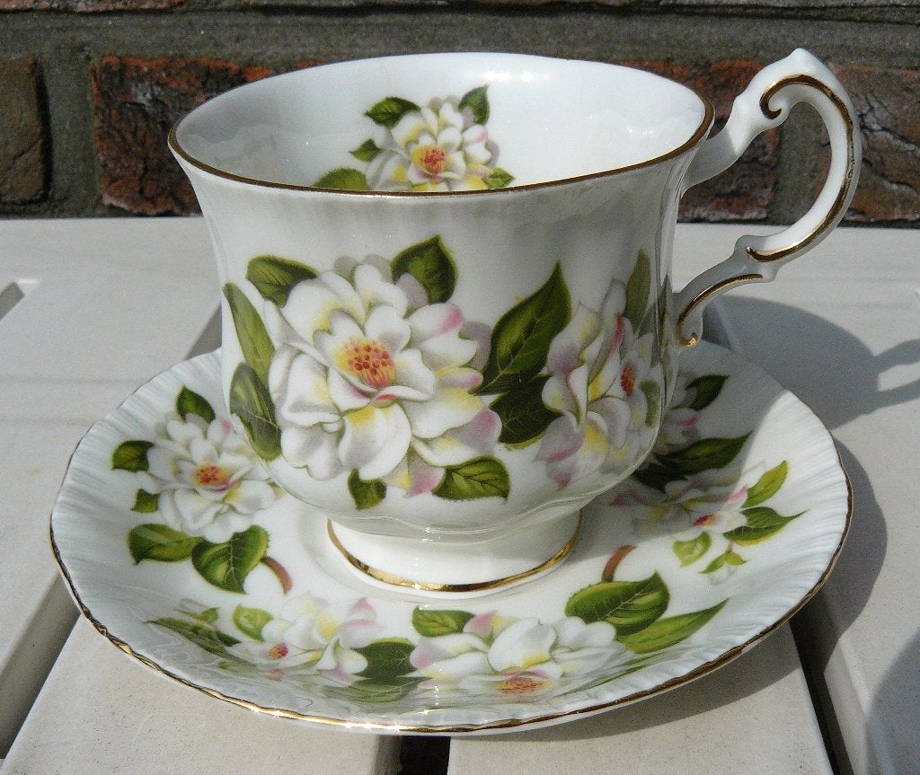 Paragon Camelia Series, Polar Bear kop en schotel, England., Ophalen of Verzenden