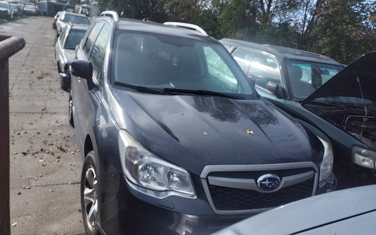 Subaru forester Sj 2015 motorkap, bumper,spatbord kleur 61k, Subaru, Gebruikt, Voor, Ophalen of Verzenden