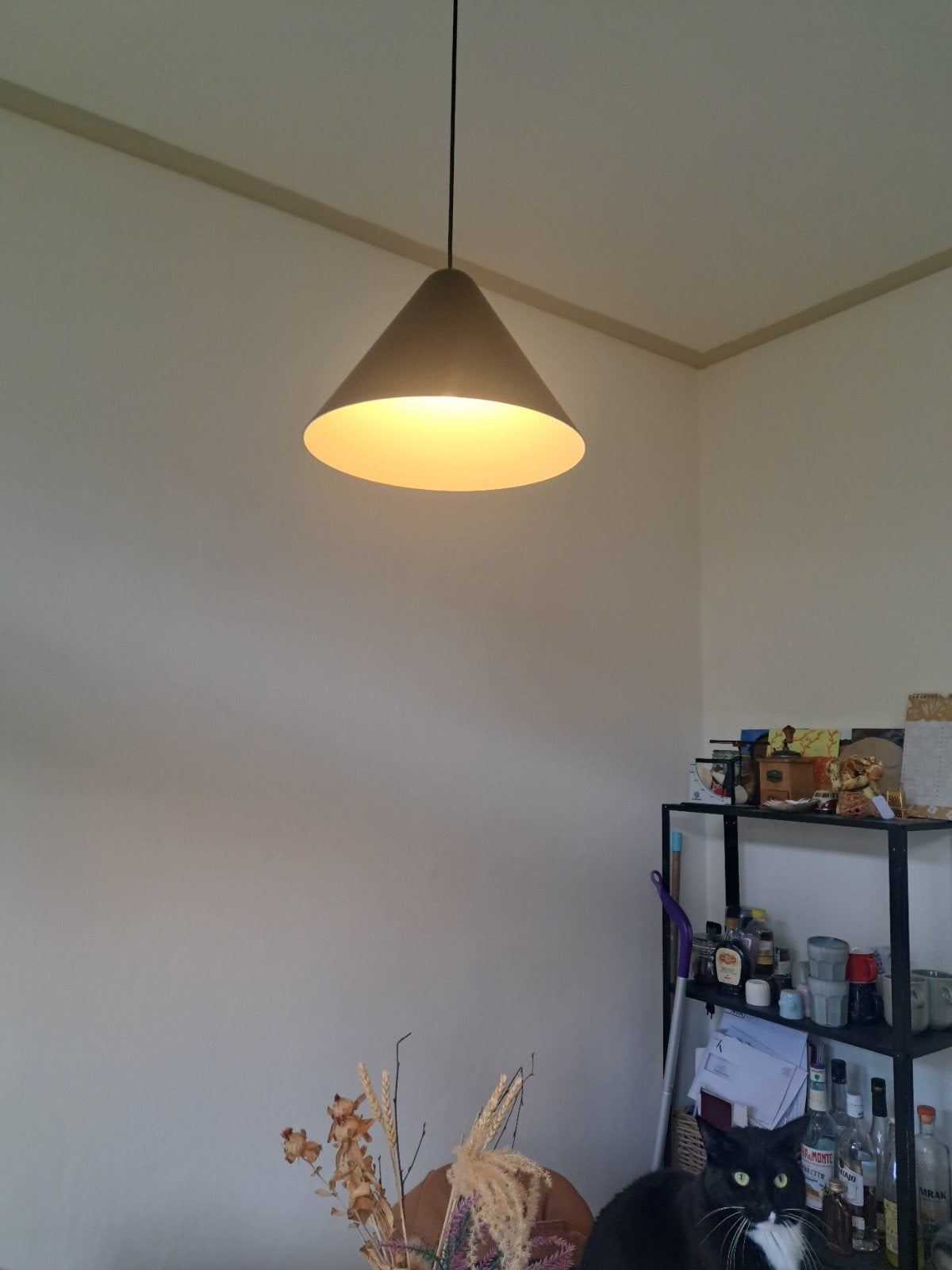 Hanglamp Pits NV placebo douli, Ophalen of Verzenden