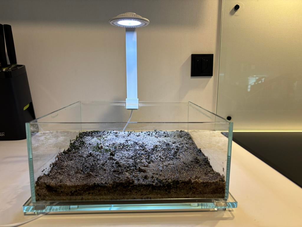 Wabi kuso bio tank, Ophalen, Inclusief toebehoren, Gebruikt, Leeg aquarium