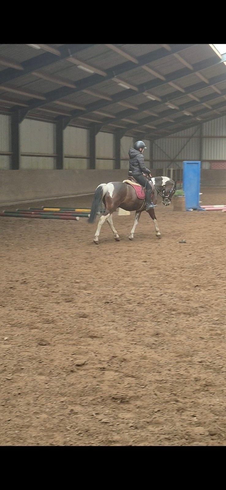 verzorgpaard/pony gezocht!!bijrijder/verzorger aangeboden!!!, Overige merken, Ophalen, Nieuw, Overige typen
