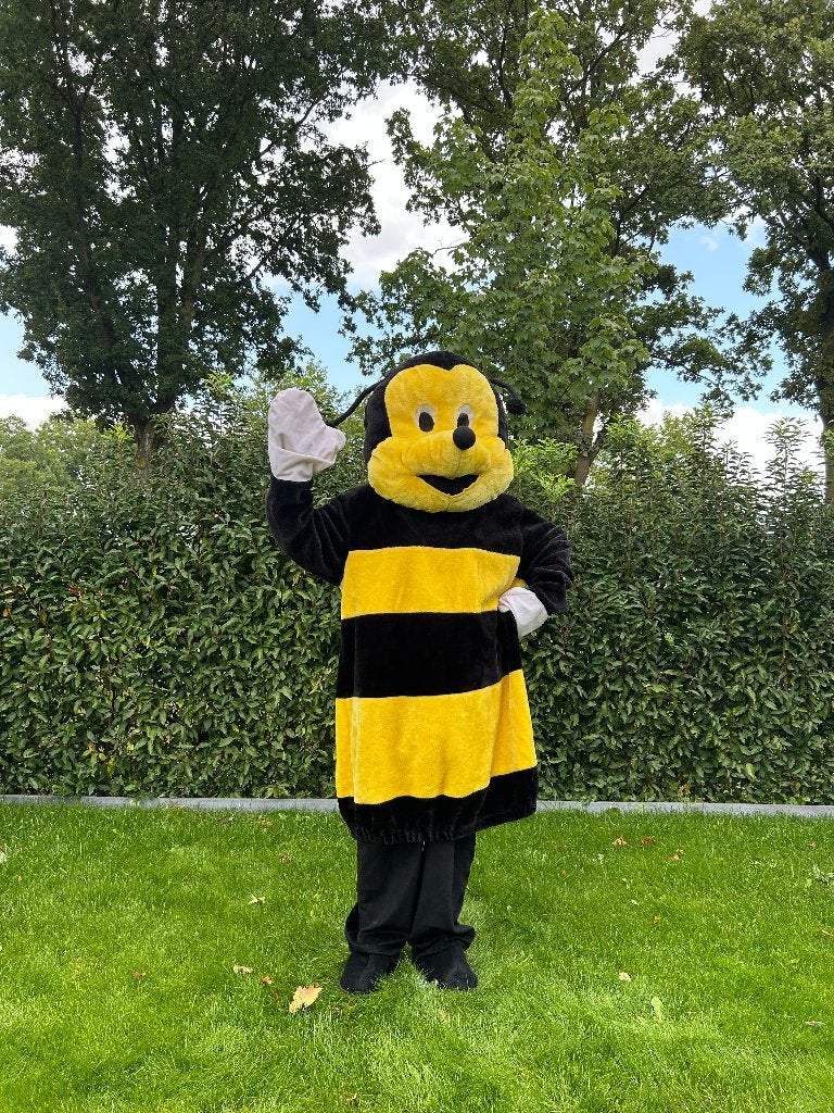 Te huur: Bijen-kostuum, Mascotte, Masked Singer, Carnaval, Hobby en Vrije tijd, Feestartikelen | Verhuur, Ophalen of Verzenden