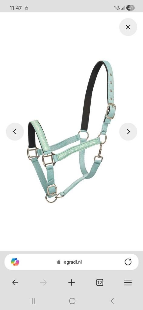 HV Polo halster Cob, nieuw!, Ophalen of Verzenden, Nieuw, Overige soorten