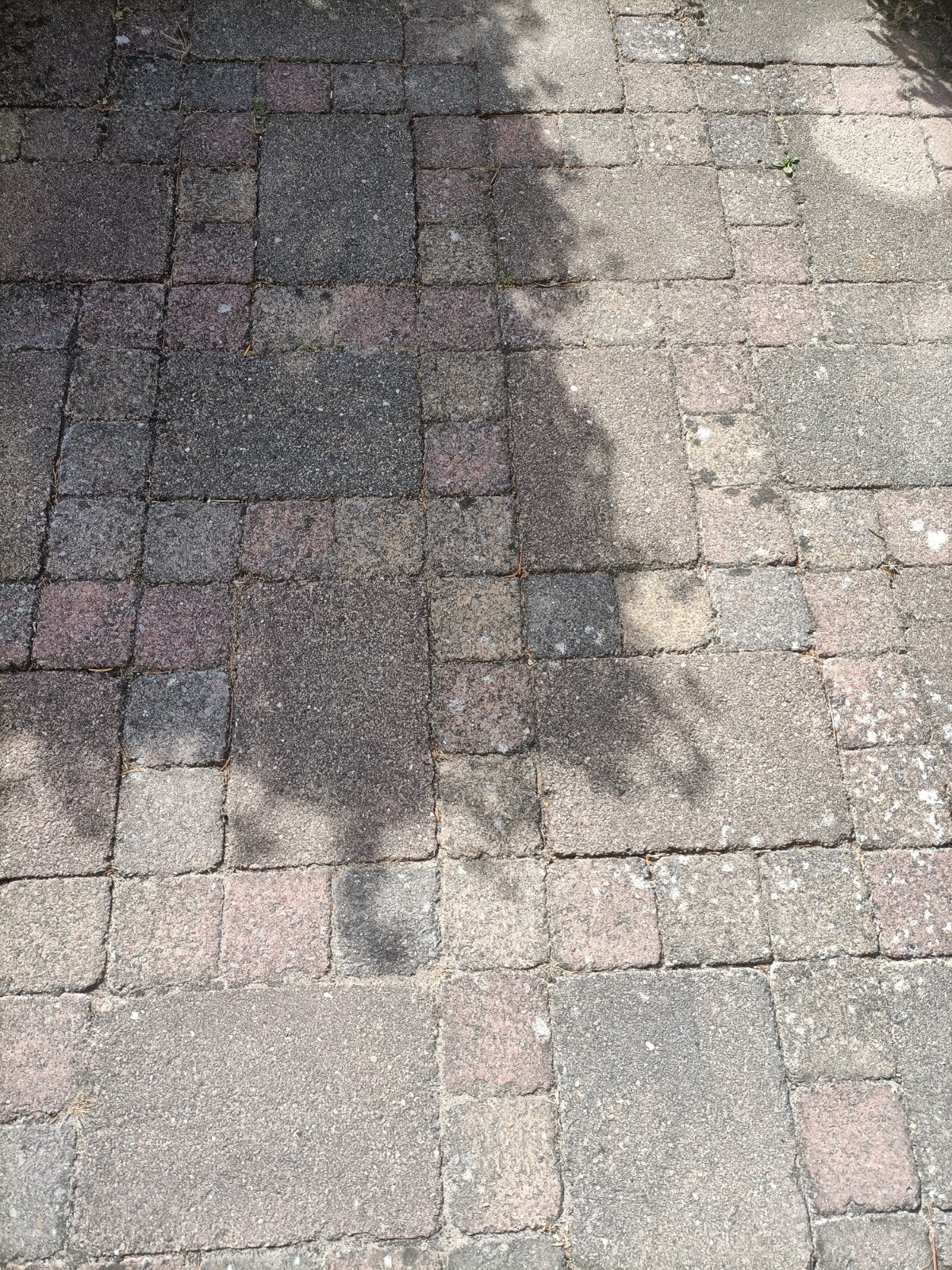 terrastegels, Tuin en Terras, Ophalen, Gebruikt, Beton, Terrastegels