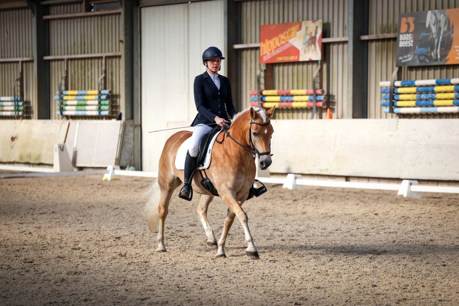 Paardrijles op locatie – Dressuur & basiswerk