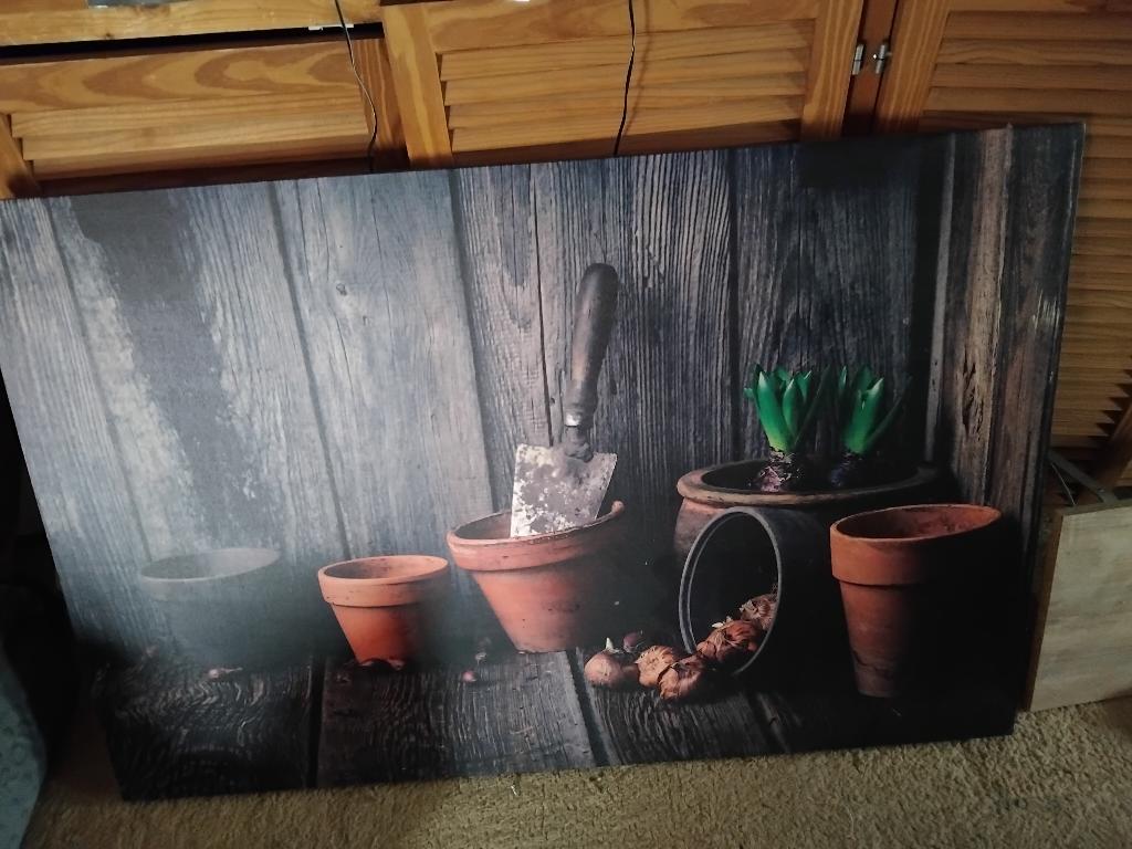mooi schilderij voor bijvoorbeeld carpoort, Ophalen