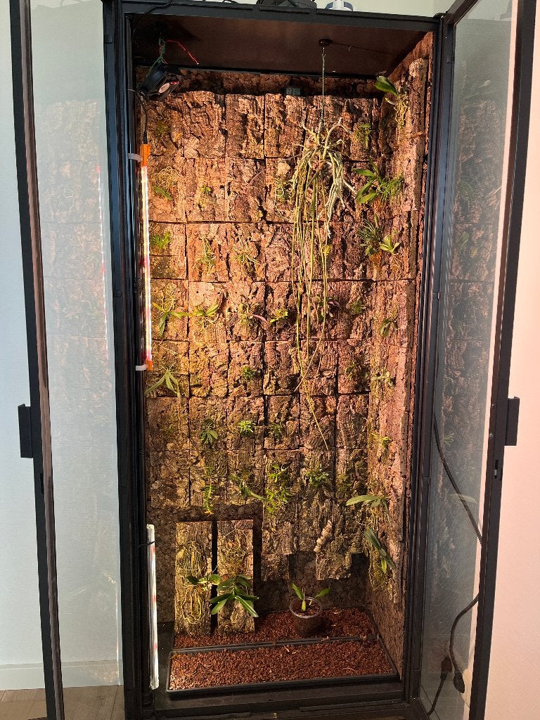 IKEA greenhouse met orchideeën, Huis en Inrichting, Ophalen, 50 tot 100 cm, Glas, IKEA