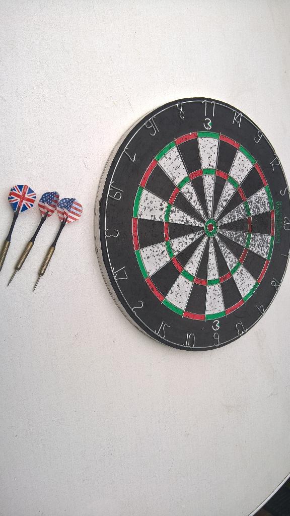 TE koop aangeboden mooi darts bord pijlen. doe gepast bod., Sport en Fitness, Darts, Ophalen of Verzenden, Gebruikt, Dartbord met pijlen