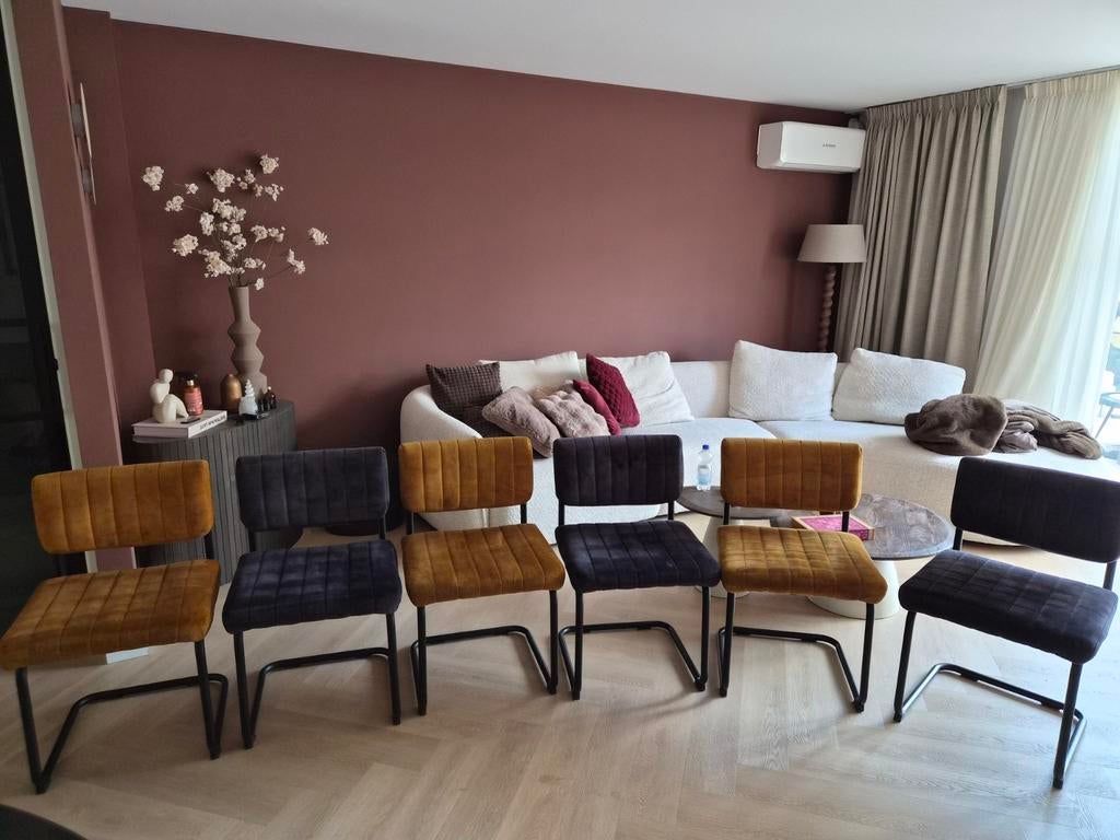 6 nette goed zittende eetkamerstoelen,  2 kleuren. Velvet, Ophalen, Zo goed als nieuw, Overige kleuren, Vijf, Zes of meer stoelen