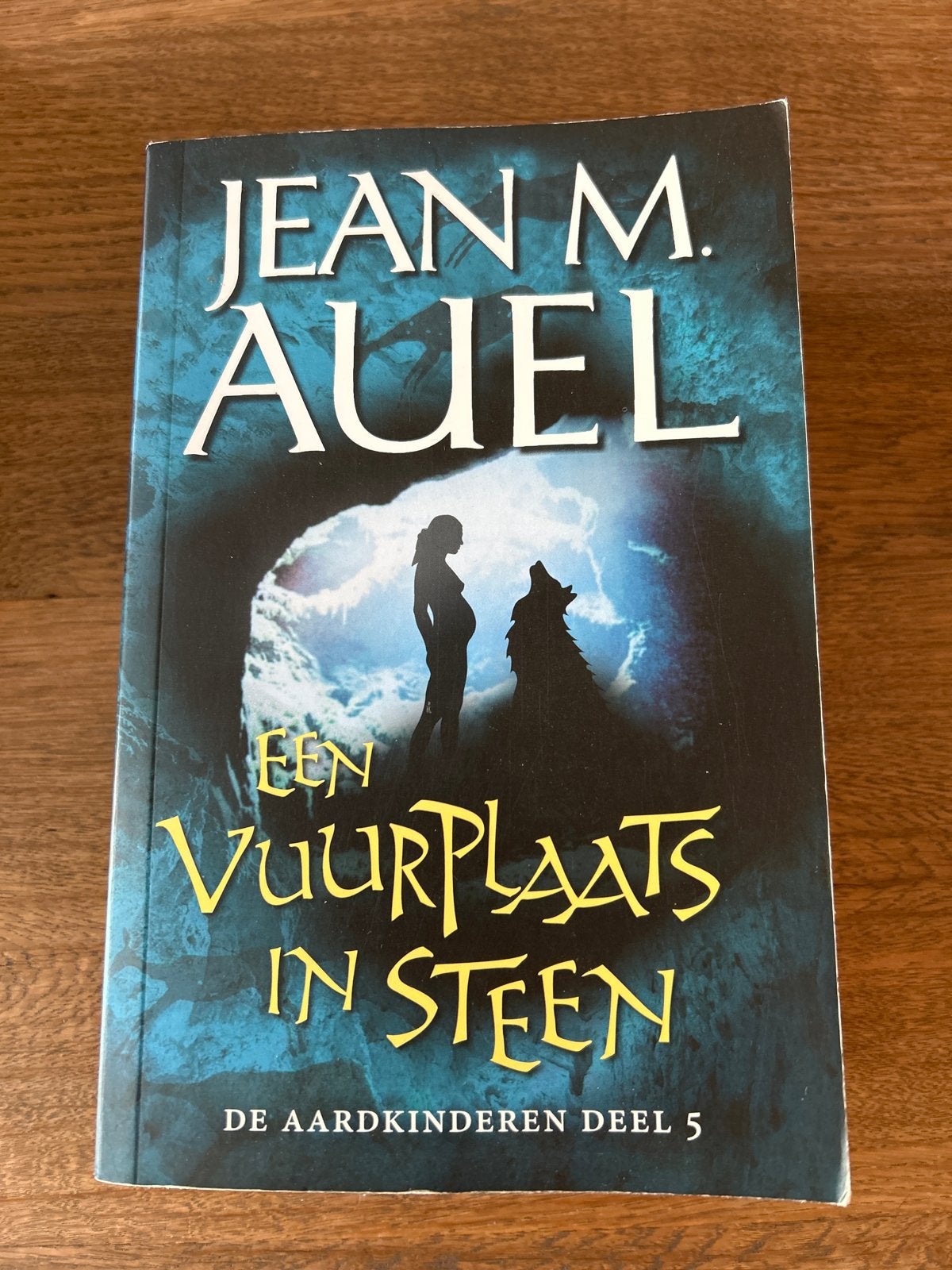Een Vuurplaats in Steen - De Aardkinderen Deel 5, Boeken, Ophalen of Verzenden, Gelezen, Nederland