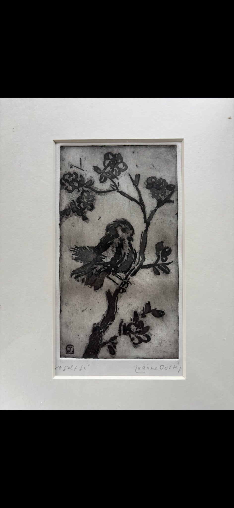 Ets van vogel op tak, gesigneerd Jeanne Oosting, Ets, Ophalen of Verzenden, 1900 - 1949, Flora en Fauna