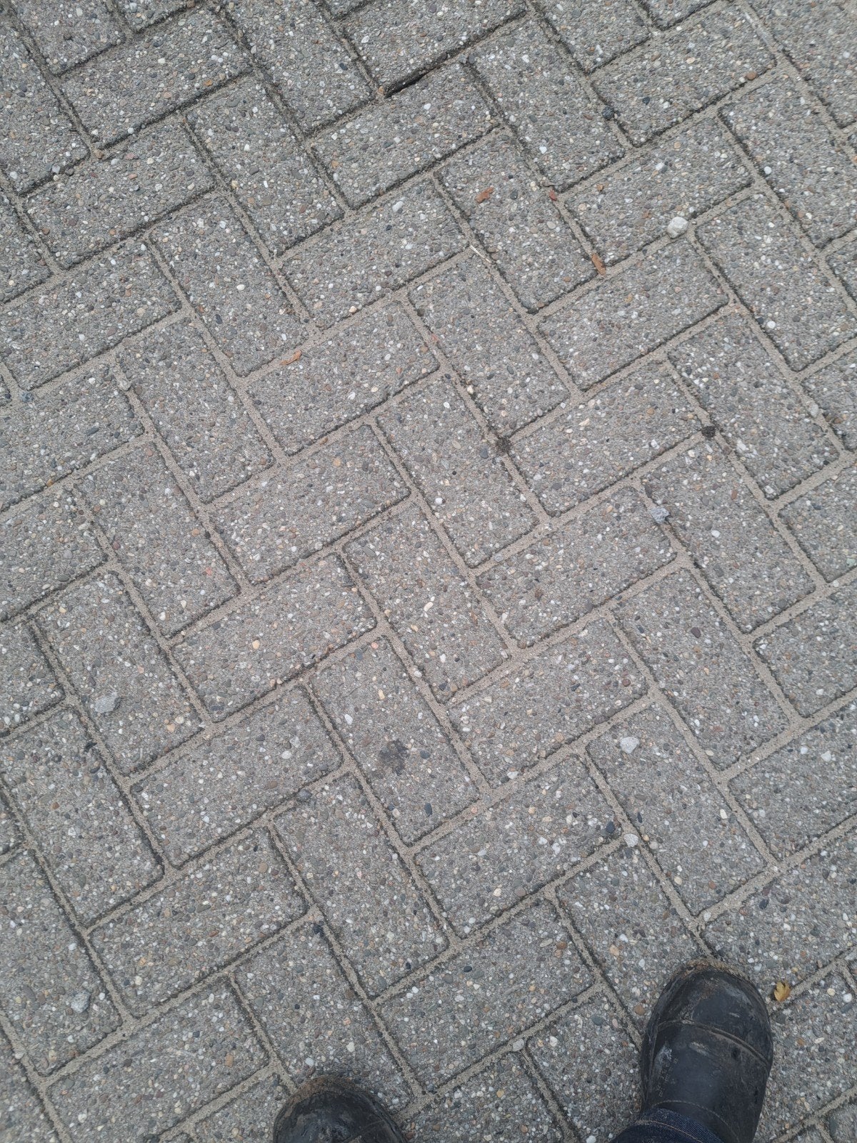 betonklinkers grijs, Gebruikt, Klinkers, Ophalen of Verzenden, 10 m² of meer