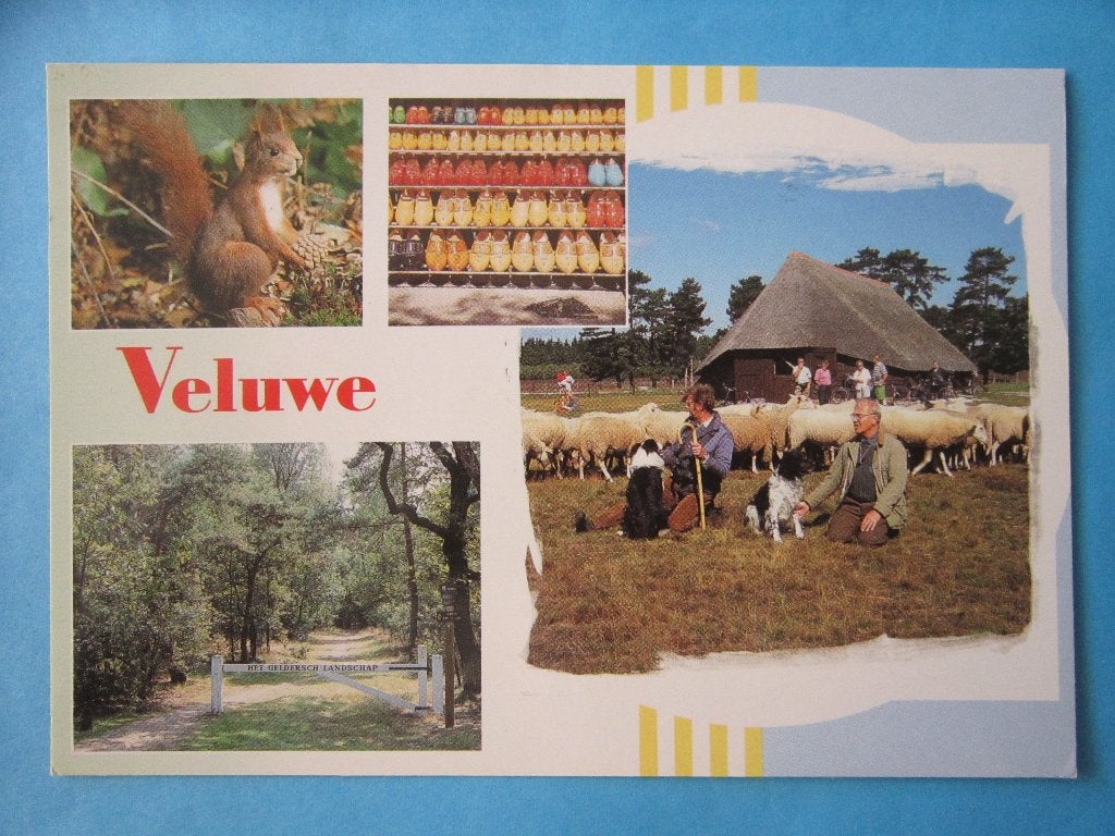 Ansichtkaart: Veluwe, Ophalen of Verzenden, 1980 tot heden, Gelopen, Gelderland