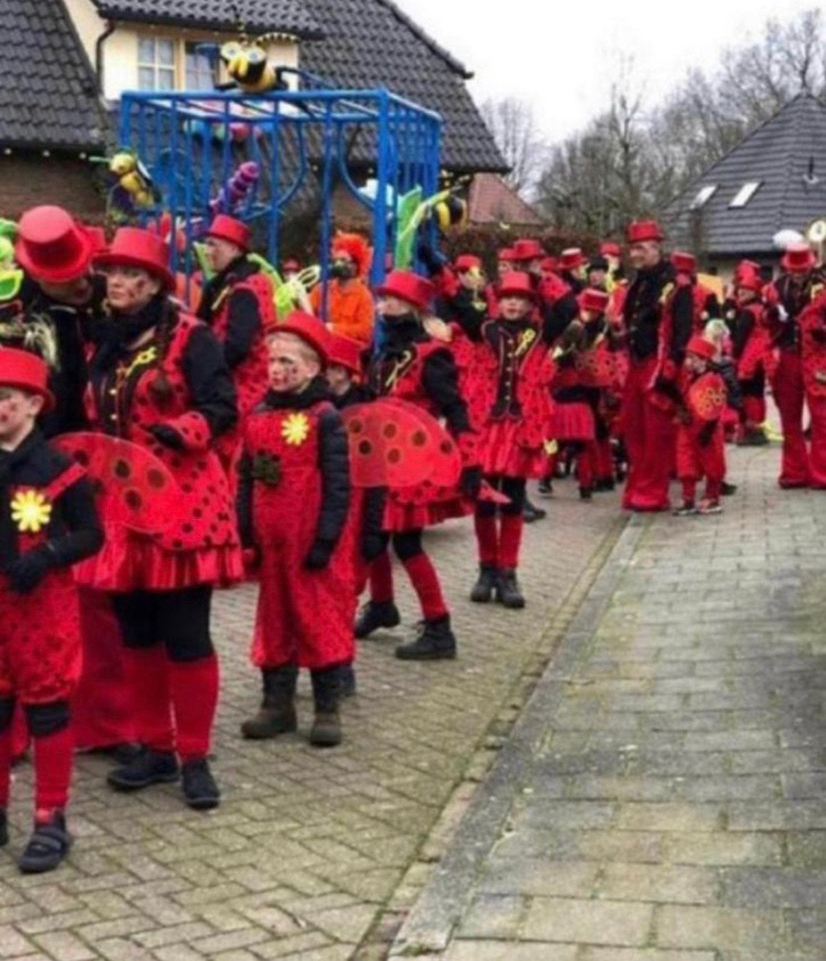 Grote loopgroep thema lieveheersbeestjes carnaval, Ophalen of Verzenden, Zo goed als nieuw, Maat 38/40 (M), Carnaval