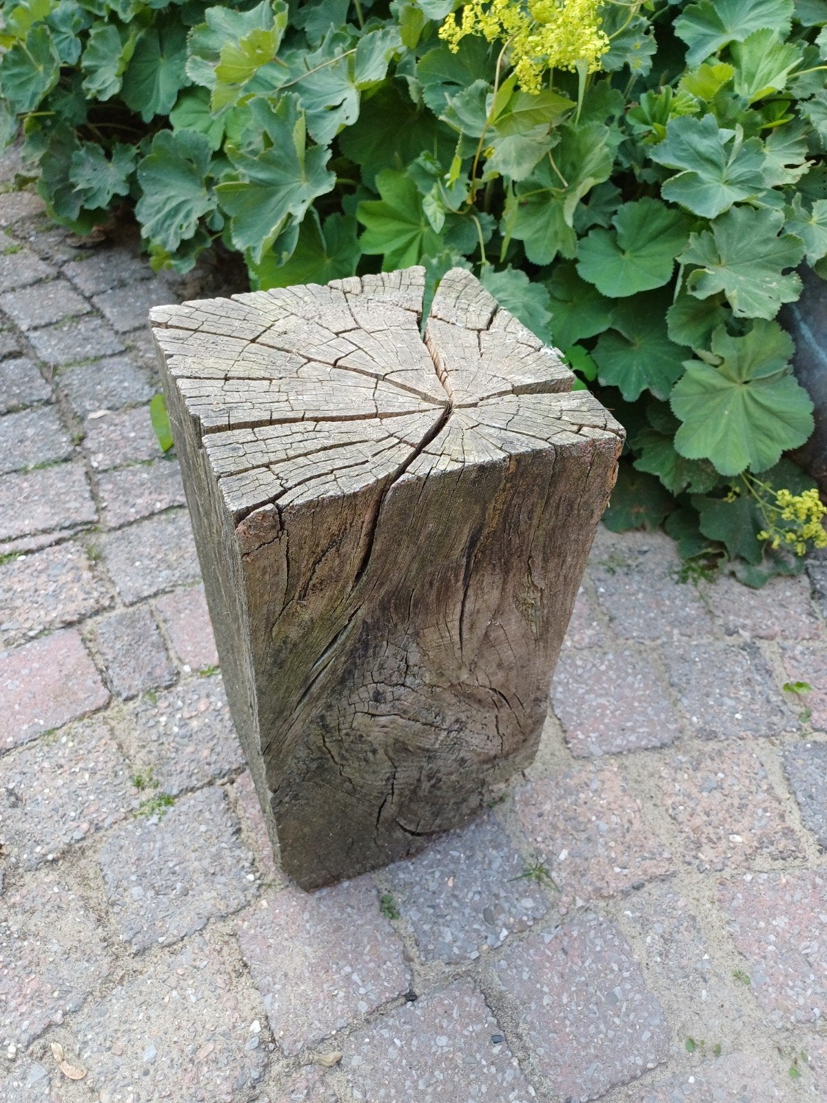 Eiken meerpaal, Ophalen, Rond, Hout, Minder dan 30 cm