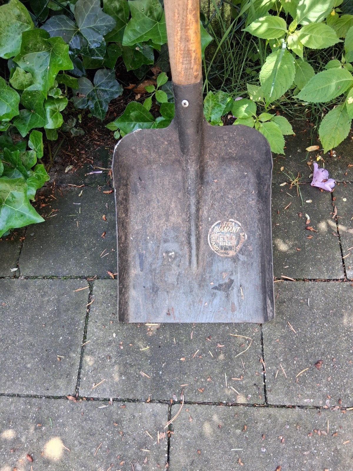 Stevige platte schop met groot blad, Ophalen, Gebruikt, Schop