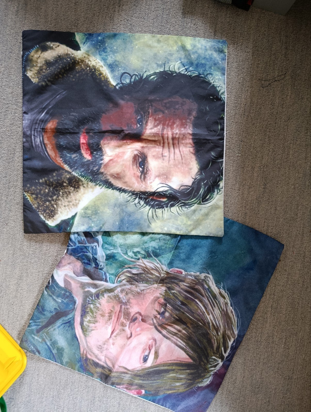 The Walking Dead kussenhoezen - Daryl en Rick, Overige merken, Gebruikt, Meerkleurig, Met print