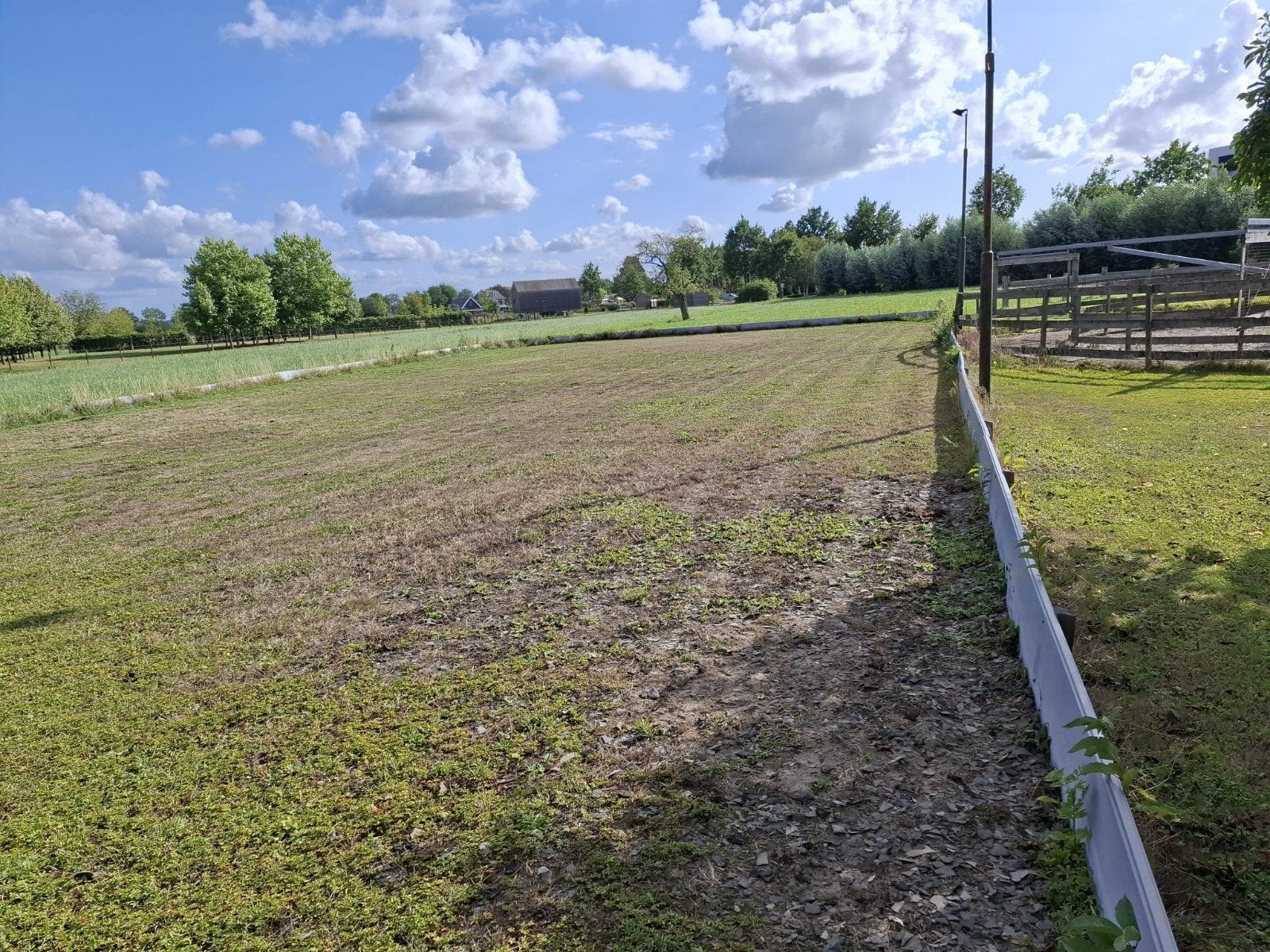 paardenbak tapijtvlokken/vezels, Ophalen of Verzenden, Gebruikt