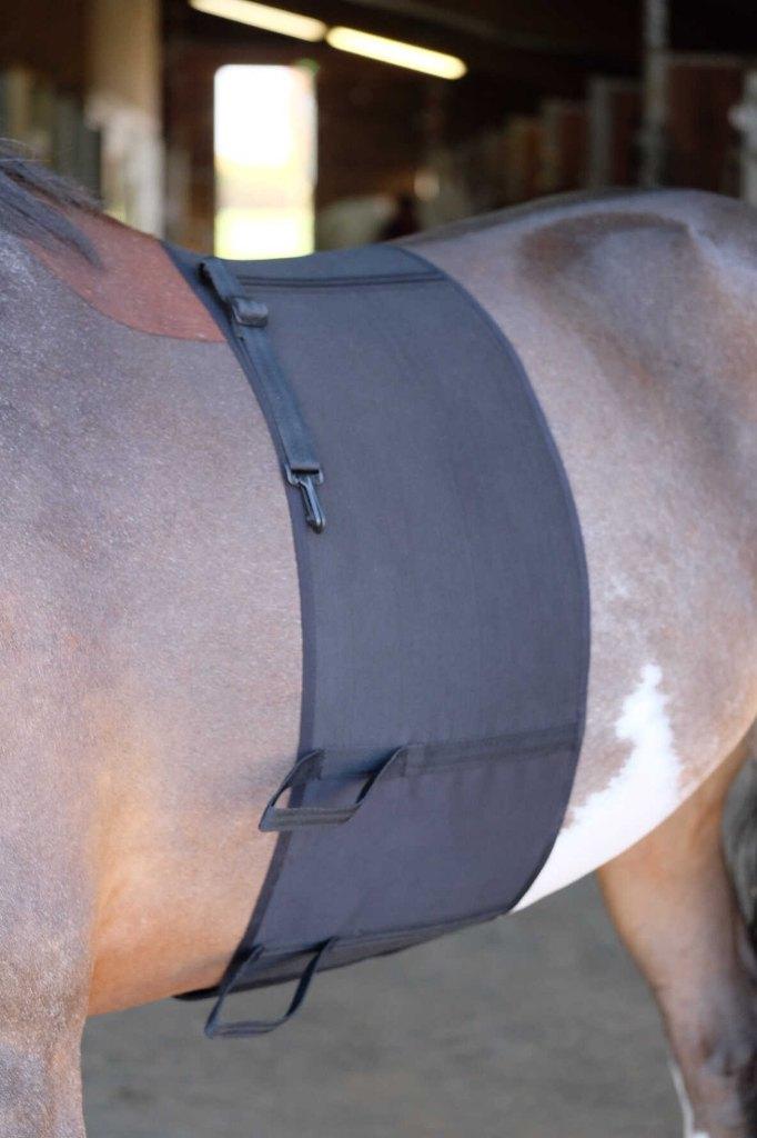 Bodybandage buik bescherming paard/pony S M L Bruin/Zwart, Fr, Ophalen of Verzenden, Ekkia, Fr