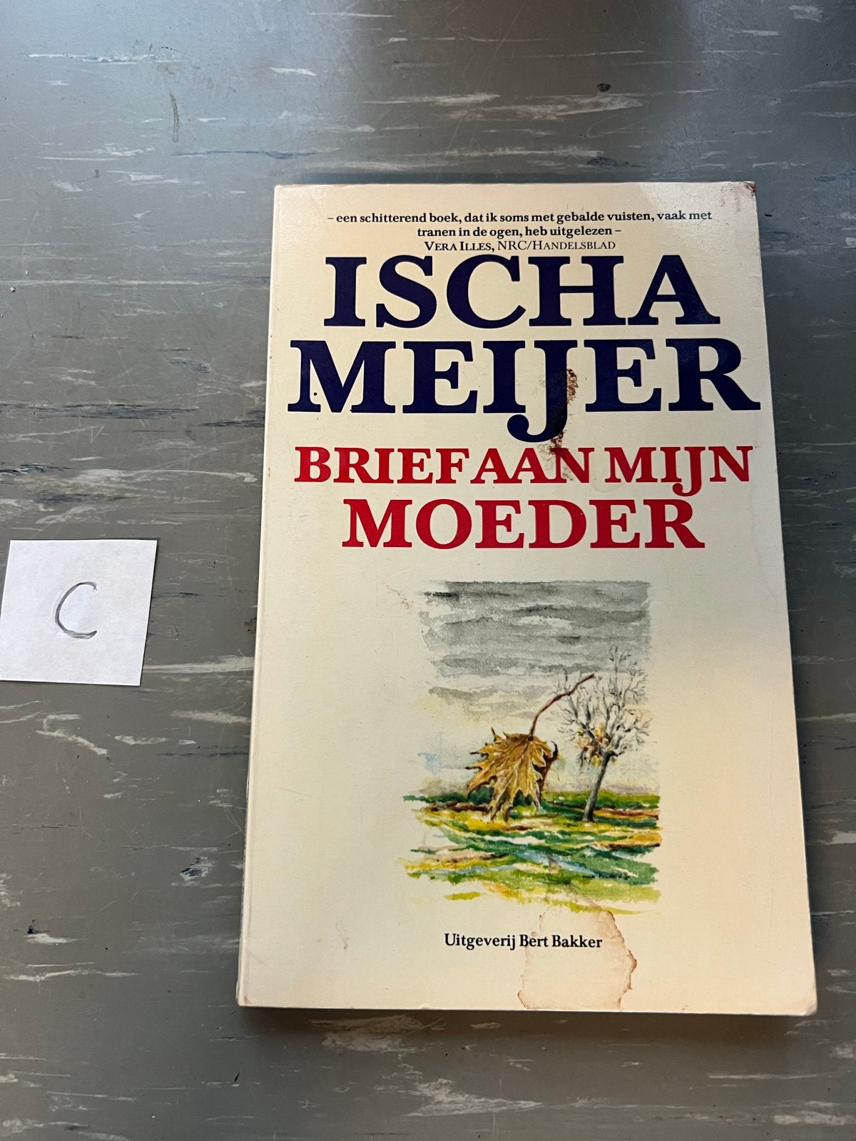 Ischa Meijer - Brief aan mijn moeder (Uitgeverij Bert Bakker, Boeken, Ophalen of Verzenden, Gelezen, Nederland