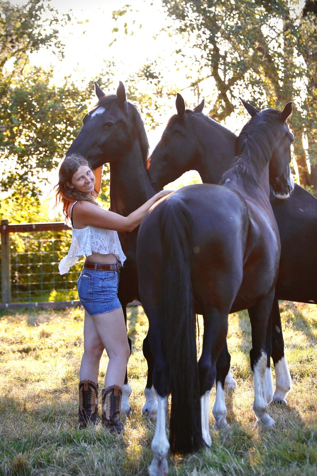 Verzorger gezocht, Dieren en Toebehoren, Paarden en Pony's | Overige Paardenspullen, Ophalen, Nieuw, Dressuur