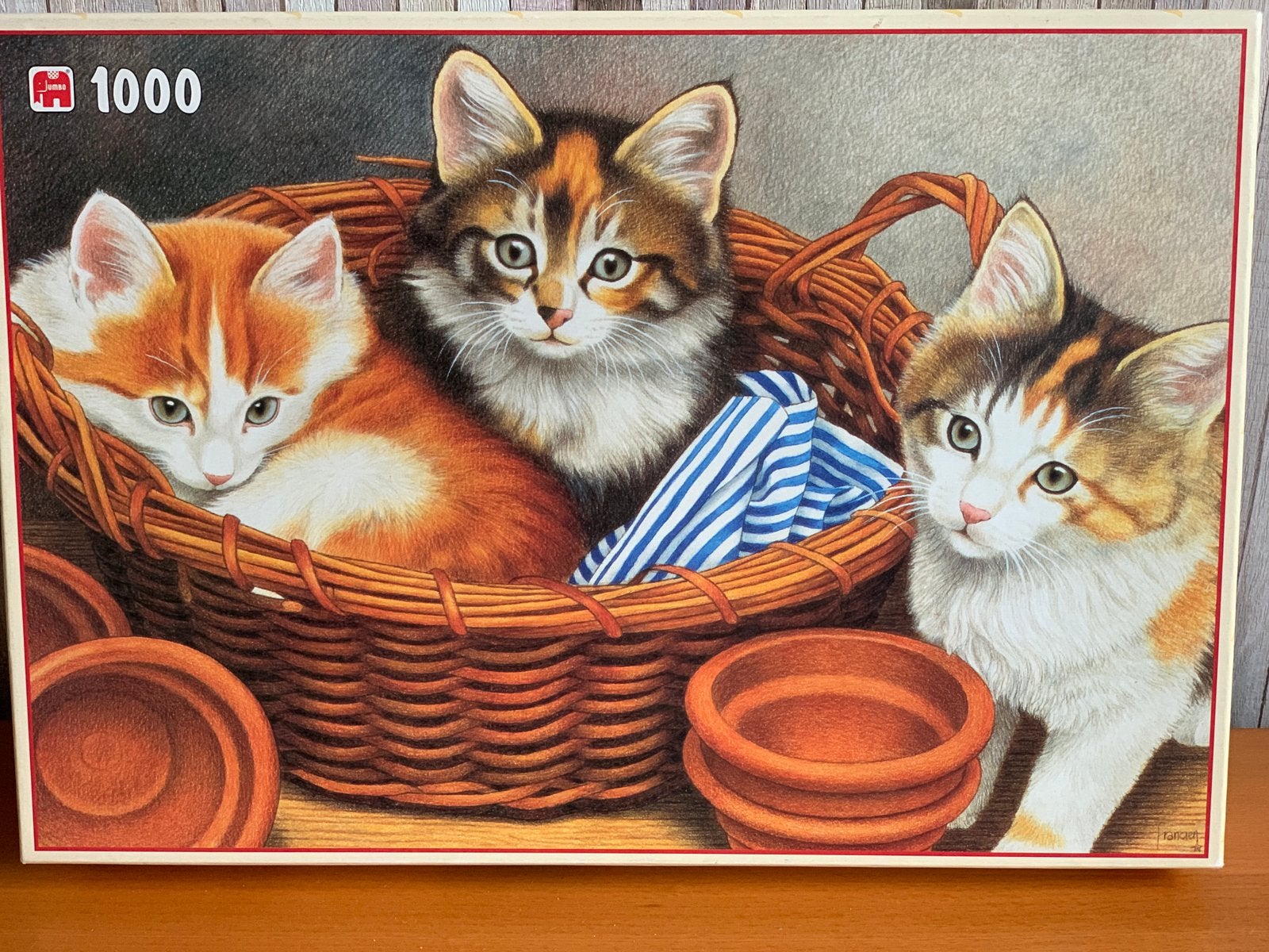 Jumbo puzzel 1000 stukjes.  Francien's Cats, Ophalen, 500 t/m 1500 stukjes, Zo goed als nieuw, Legpuzzel