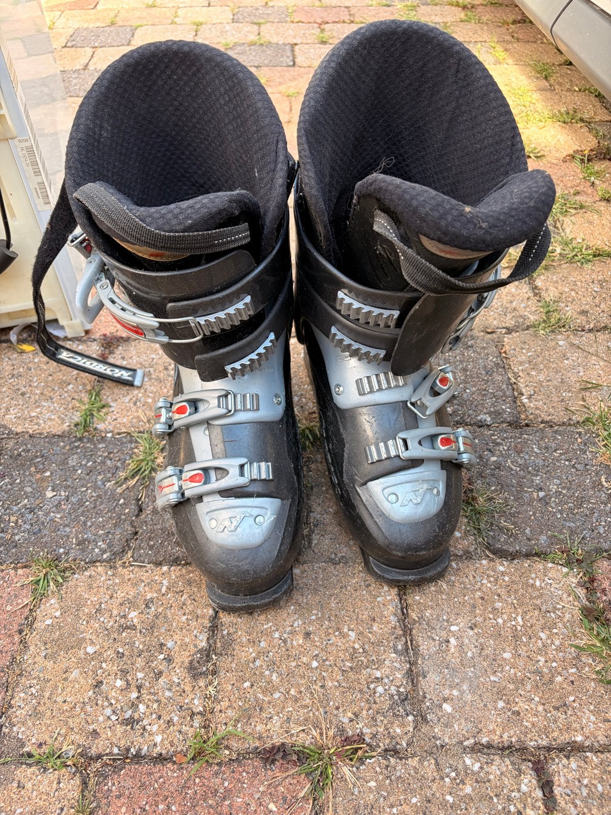 Nordica skischoenen, maat 45, gebruikt, Sport en Fitness, Skiën en Langlaufen, Gebruikt, Schoenen, Ophalen of Verzenden, Nordica