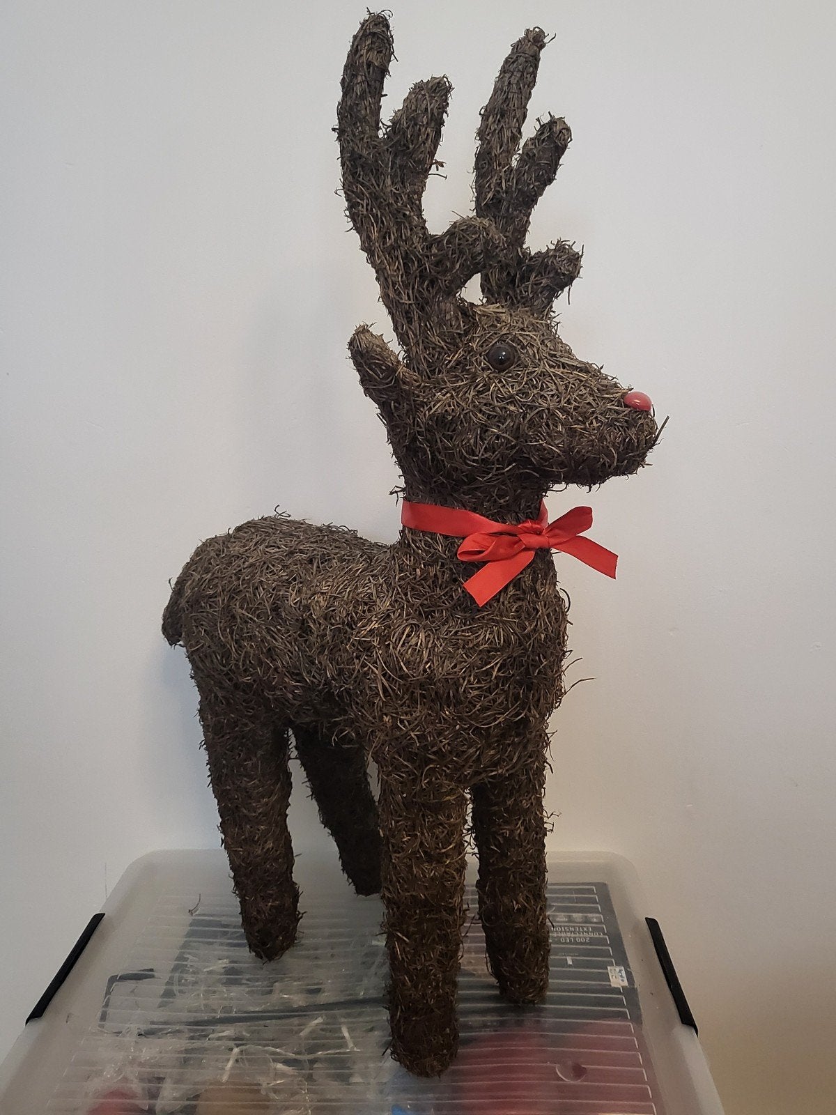Groot hert van 80cm, Ophalen