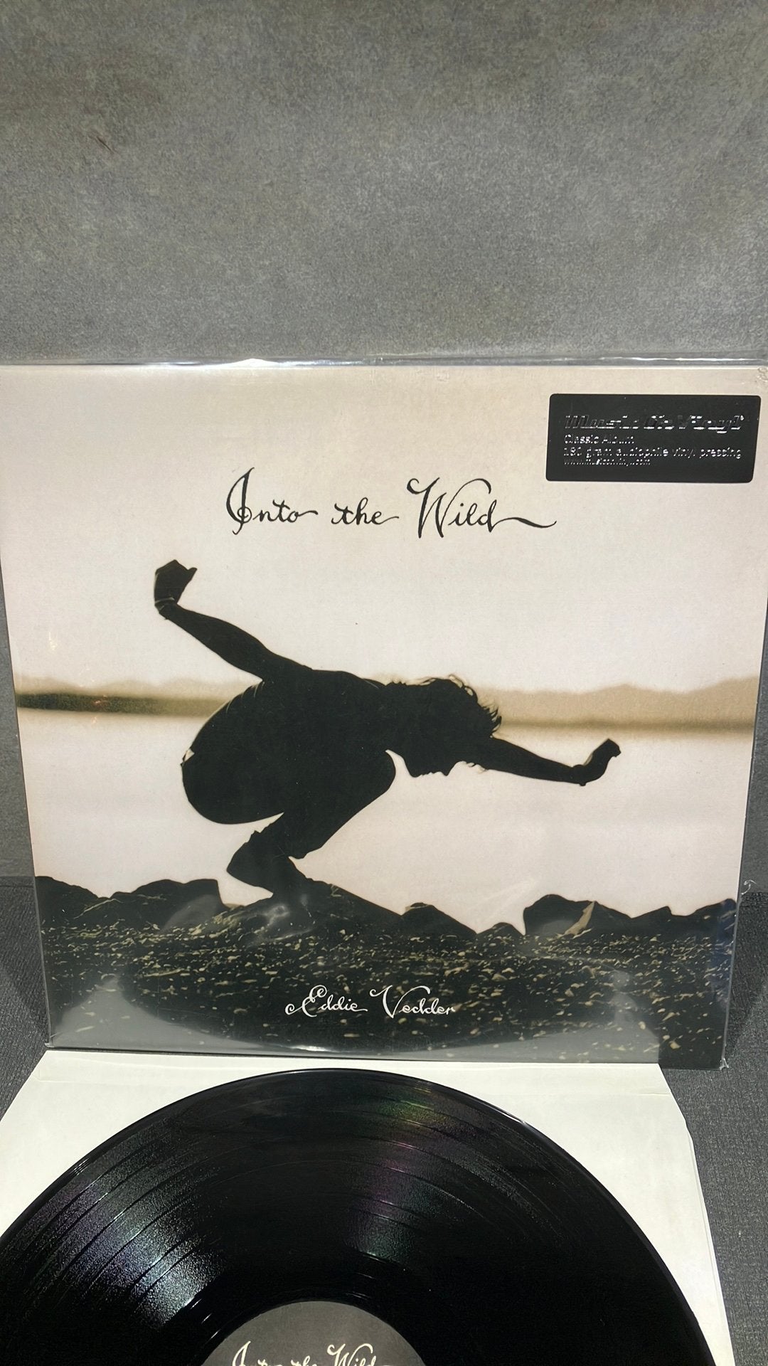 Eddie Vedder. —  Into The Wild, Ophalen of Verzenden, Zo goed als nieuw, 12 inch, Folk Rock