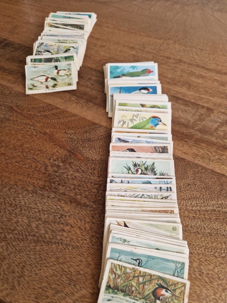 Rizla Zo leer je vogels kennen plaatjes, Ophalen of Verzenden, Zo goed als nieuw, Meerdere plaatjes