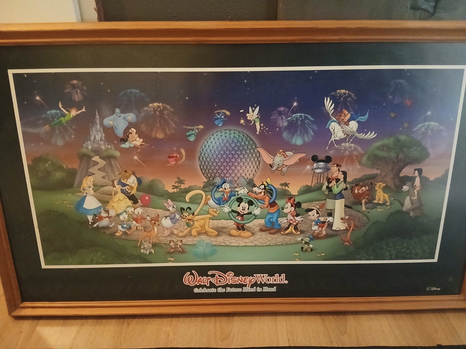 Disney Poster 2000 - Walt Disney World Jubileum, Ophalen