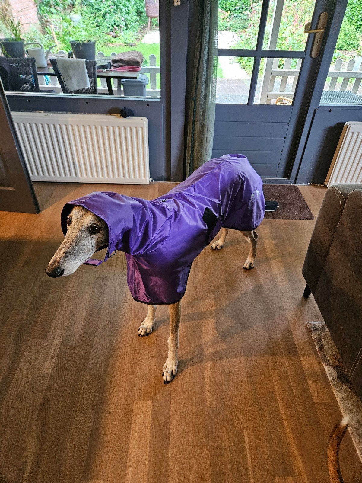 regen jas, Ophalen of Verzenden, Nieuw
