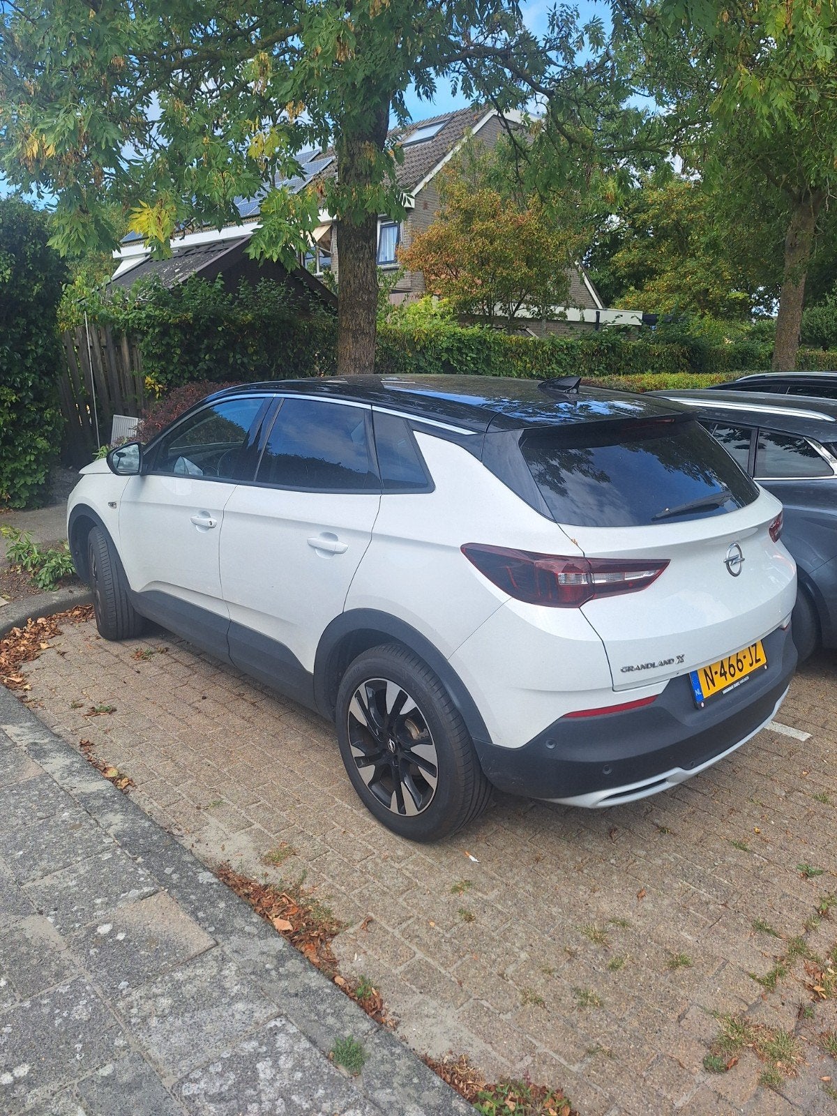 Opel Grandland X 1.2 Turbo 130pk S&S Aut 2021 Wit, 15 km/l, 1199 cc, Wit, Origineel Nederlands