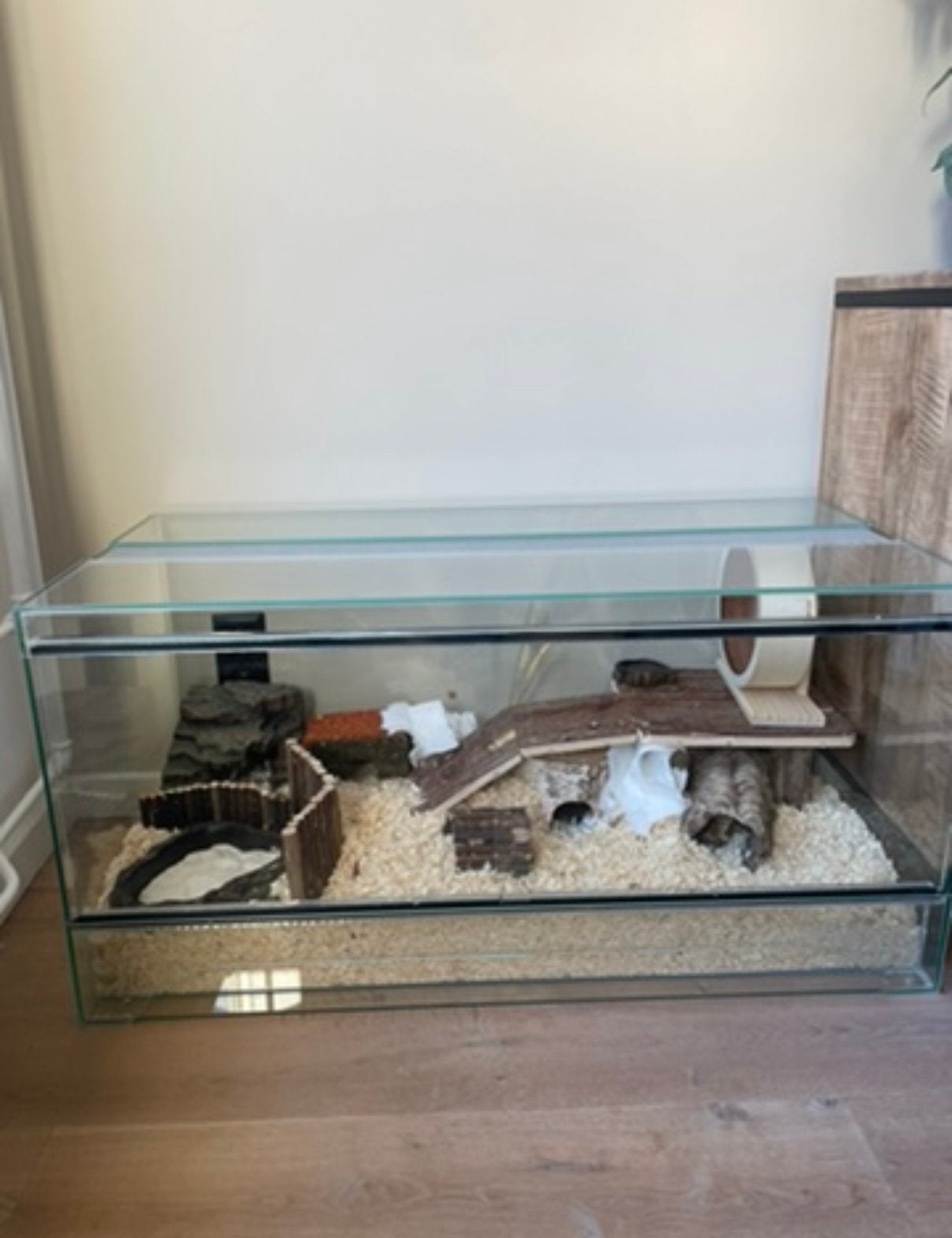 Terarium, Ophalen, 110 cm of meer, Zo goed als nieuw, 90 cm of meer