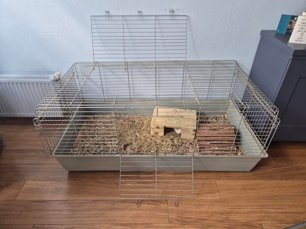 Cavia of konijnenhok groot, Ophalen, 110 cm of meer, 90 cm of meer, Hok