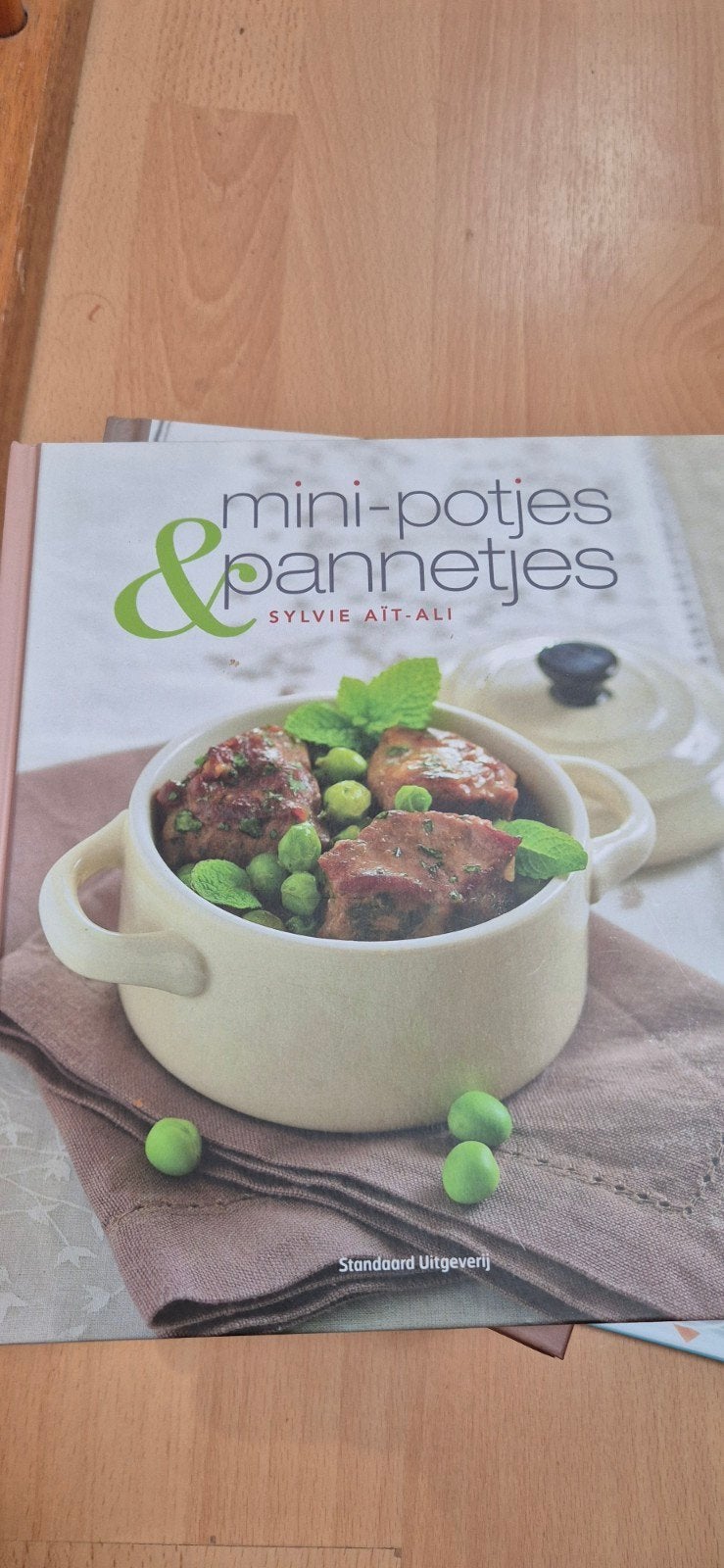 Mini-potjes & pannetjes - Sylvie Aït-Ali, Boeken, Ophalen of Verzenden, Gelezen, Sylvie Aït-Ali, Hoofdgerechten