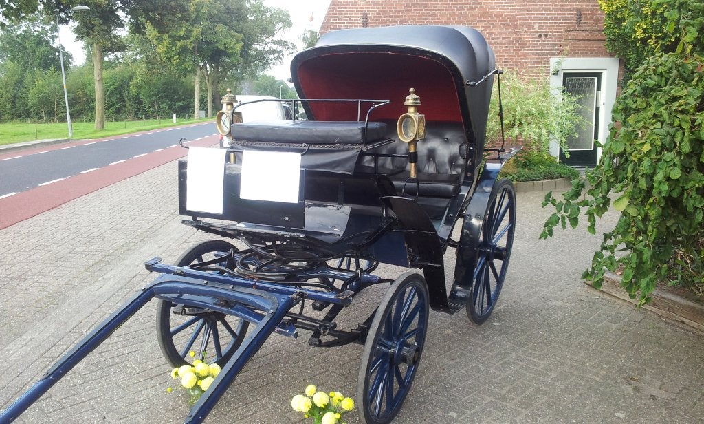 Rijtuig, koets, kleine Victoria, Zo goed als nieuw, Overige typen, Paard of Pony