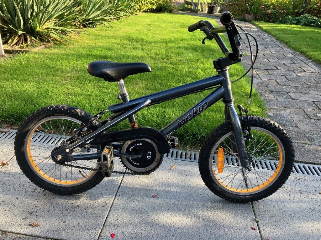 Loeki BMX 16 inch, Fietsen en Brommers, Ophalen, Terugtraprem, Staal, 16 tot 20 inch