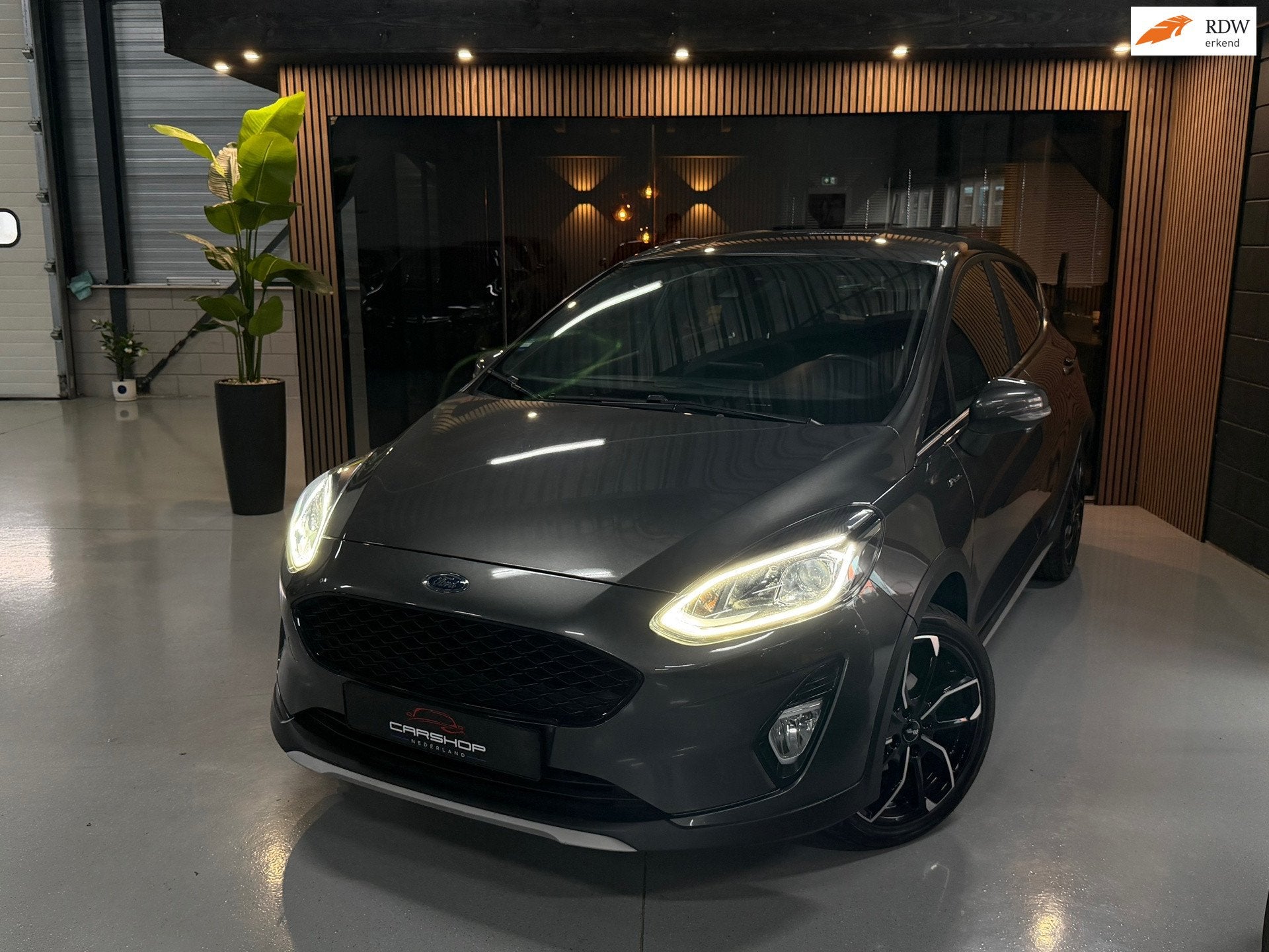 Ford Fiesta 1.0 EcoBoost ACTIVE EDITION! CARPLAY/CAMERA/LANE, Voorwielaandrijving, Dealer onderhouden, Gebruikt, Bedrijf